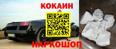 индика Можга