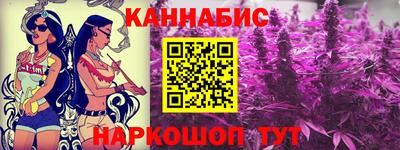 индика Можга