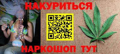 индика Можга