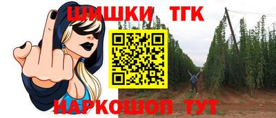 индика Можга