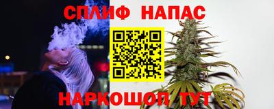индика Можга