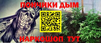 PSILOCYBIN Моздок