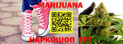 индика Можга
