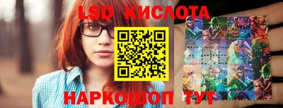 индика Можга